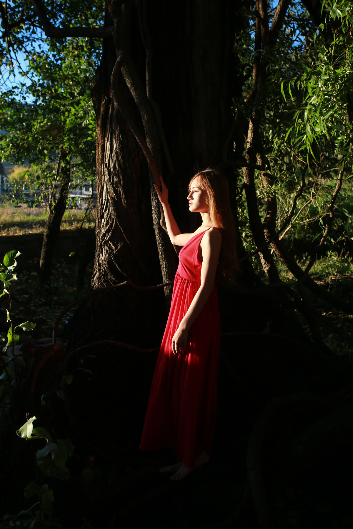 长裙美女森系写真 气质像原始森林般自然纯净